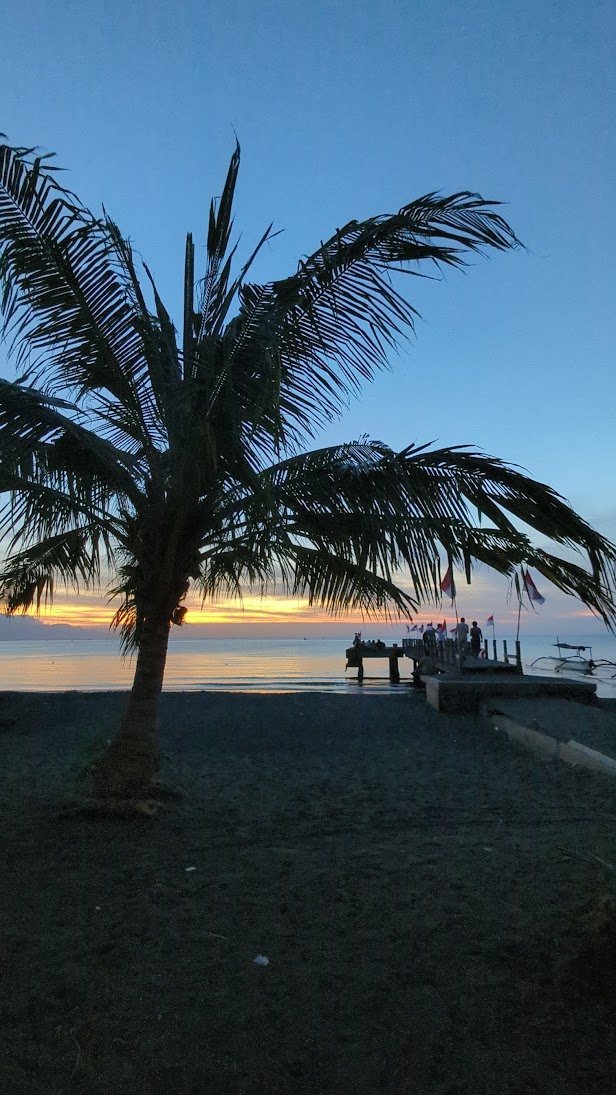 lovina_pier_palm_north_bali